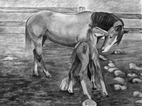 Graphite drawing